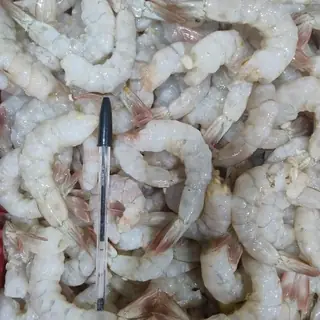 Camarão branco com cauda
